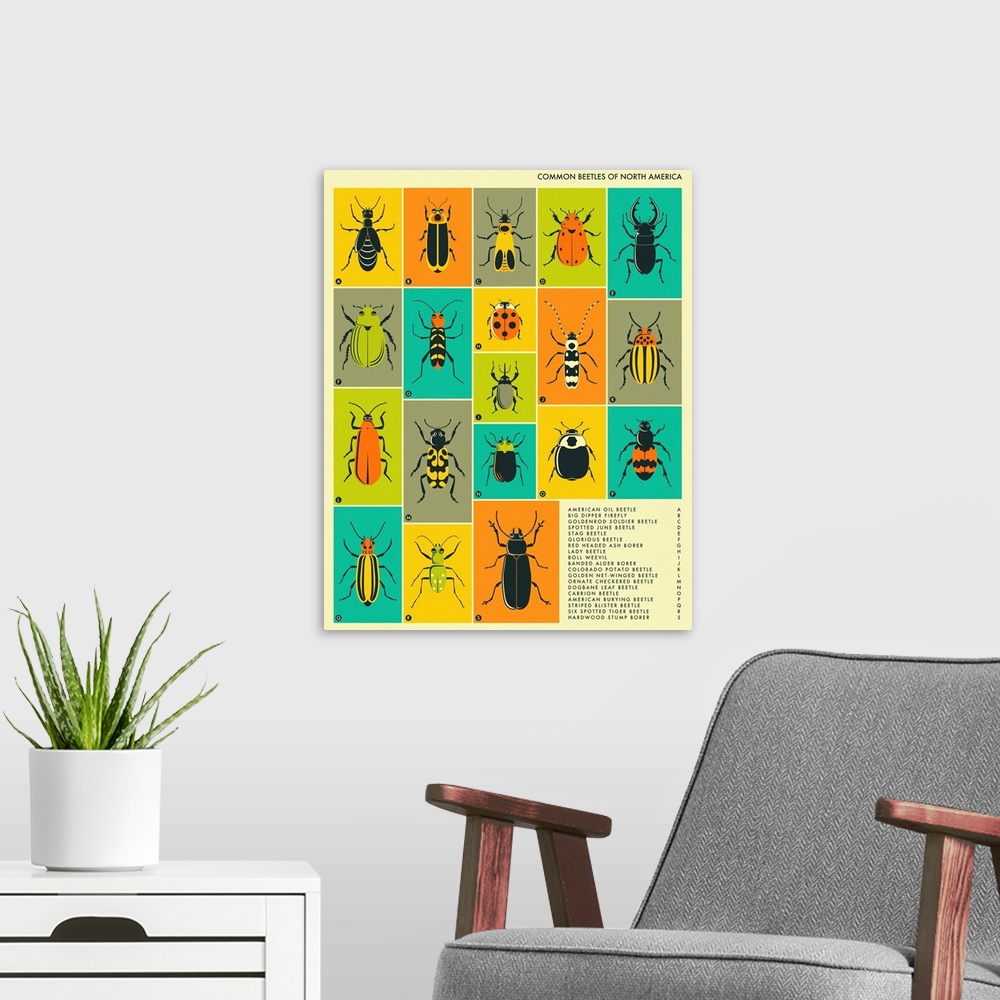 A modern room featuring Illustrated diagram of common beetles in North America with labeling and a key in the bottom righ...