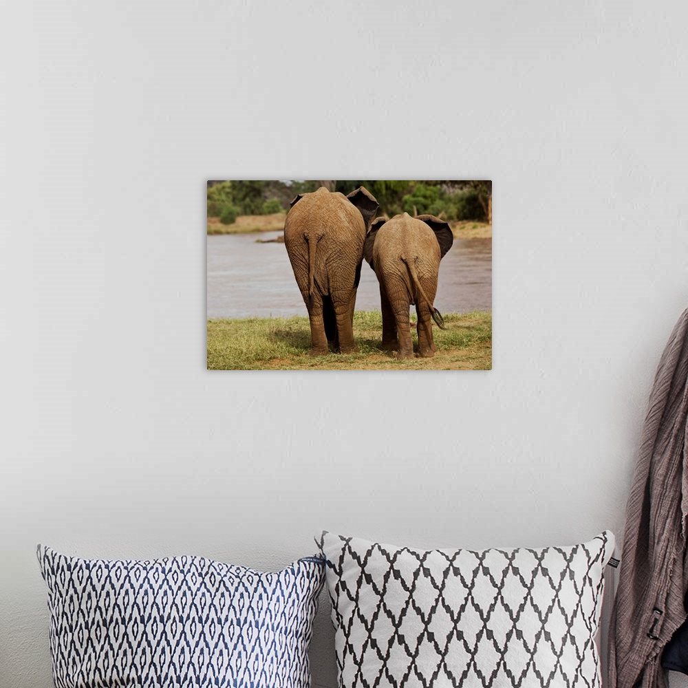 A bohemian room featuring African Elephant Family