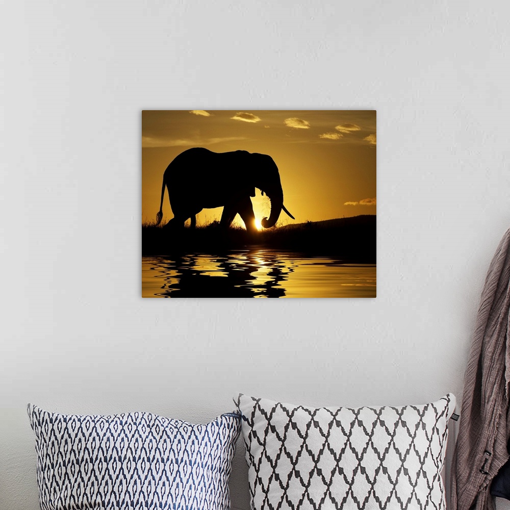 A bohemian room featuring Photograph of tusked animal at waterhole at dawn.