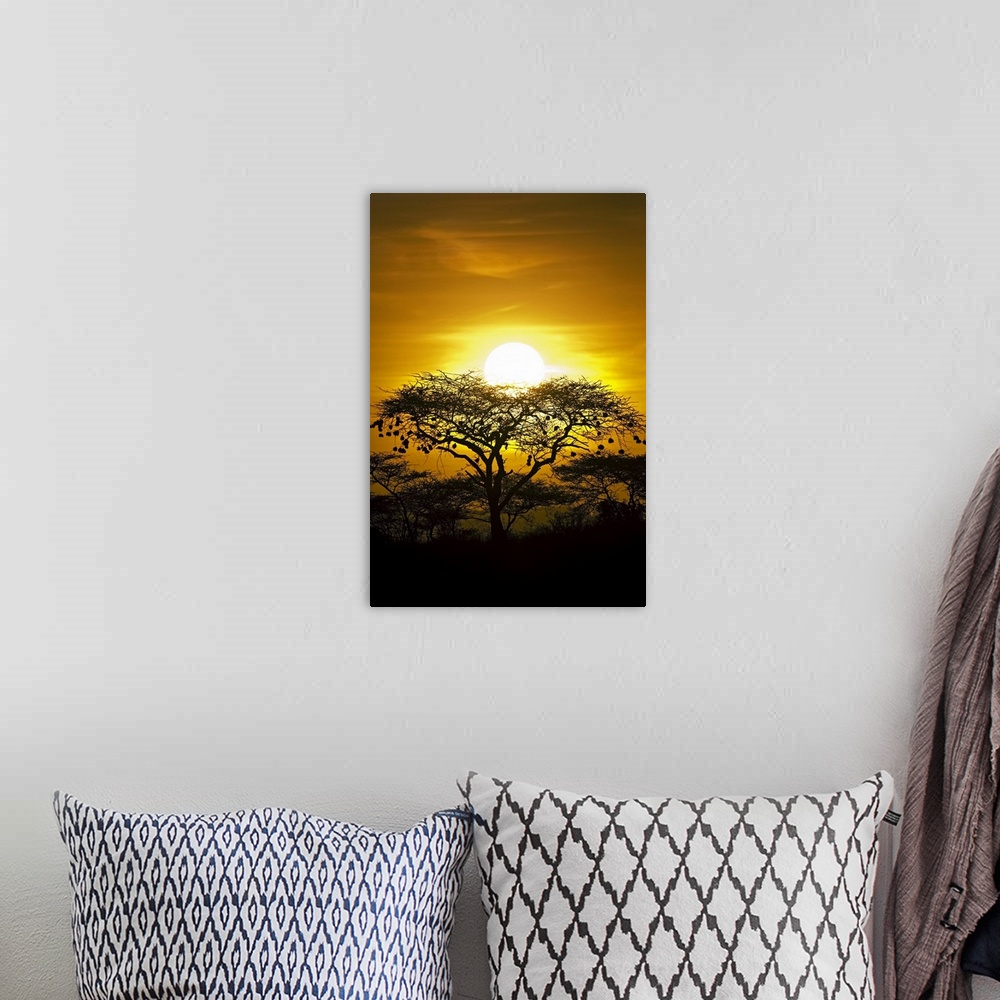 A bohemian room featuring Portrait photograph on a big canvas of a bright, golden sunset in Africa. The sun sits directly b...