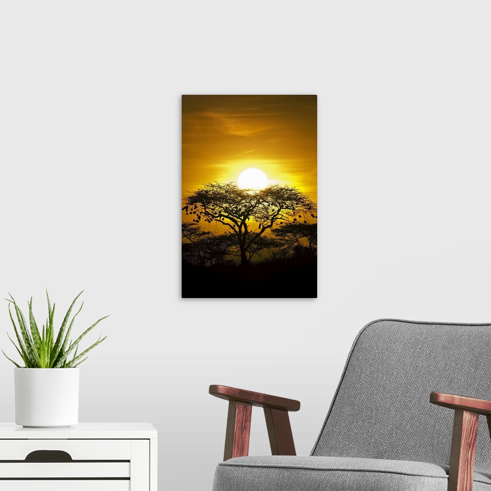 A modern room featuring Portrait photograph on a big canvas of a bright, golden sunset in Africa. The sun sits directly b...