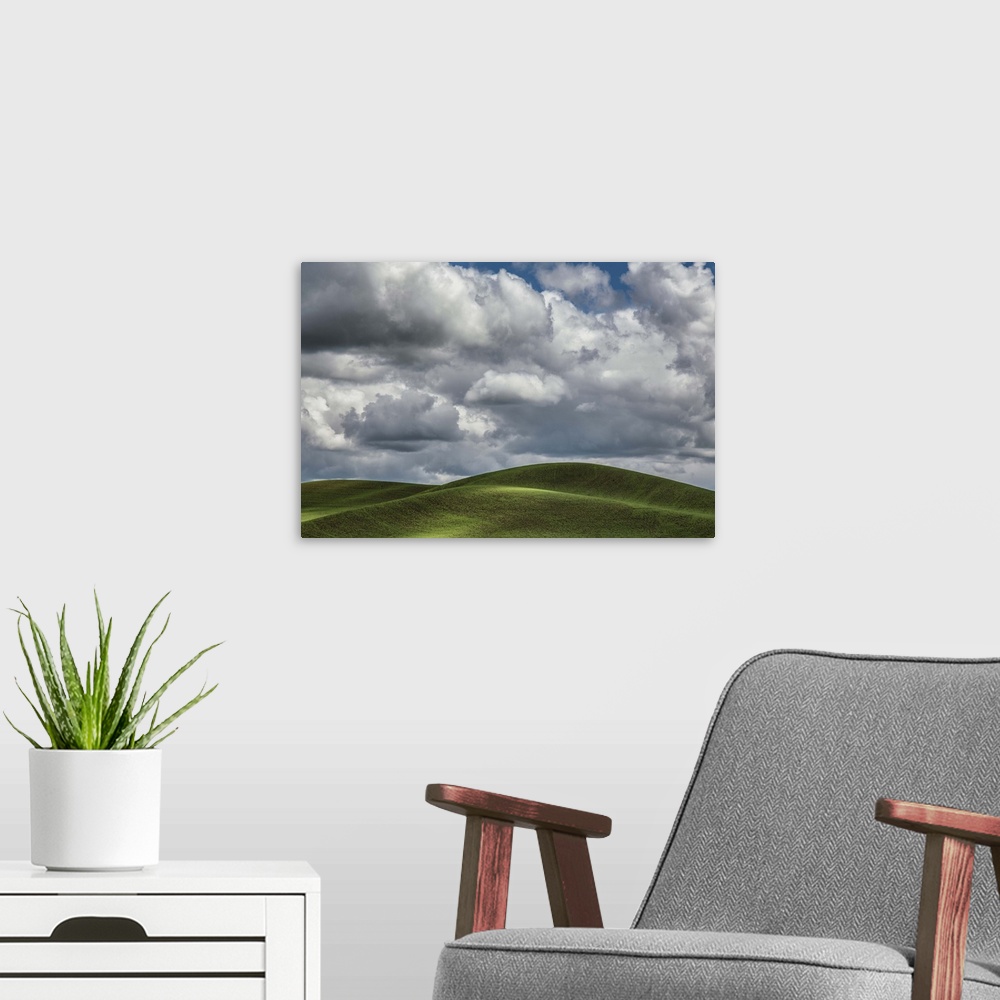 A modern room featuring Beautiful clouds over the green wheatfields of the Palouse, Washington