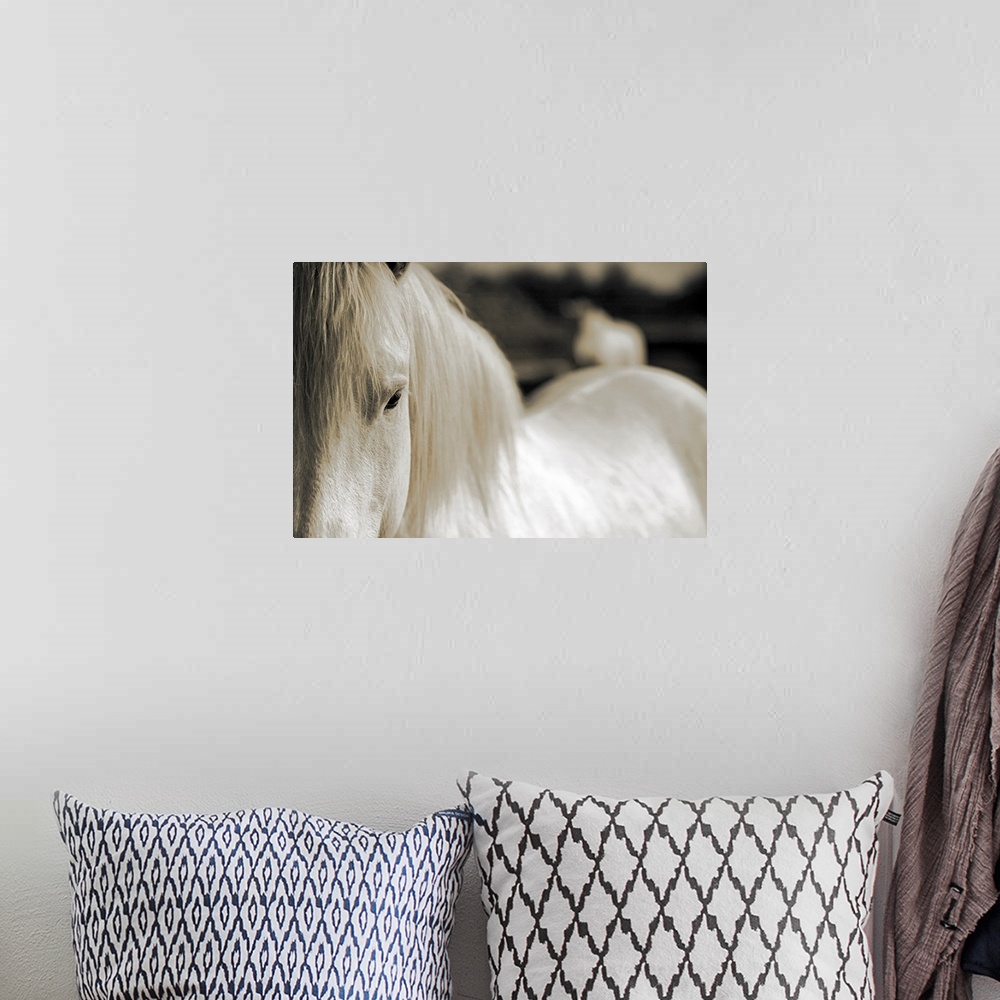 A bohemian room featuring A close up photograph of a portion of a horseos head and body.