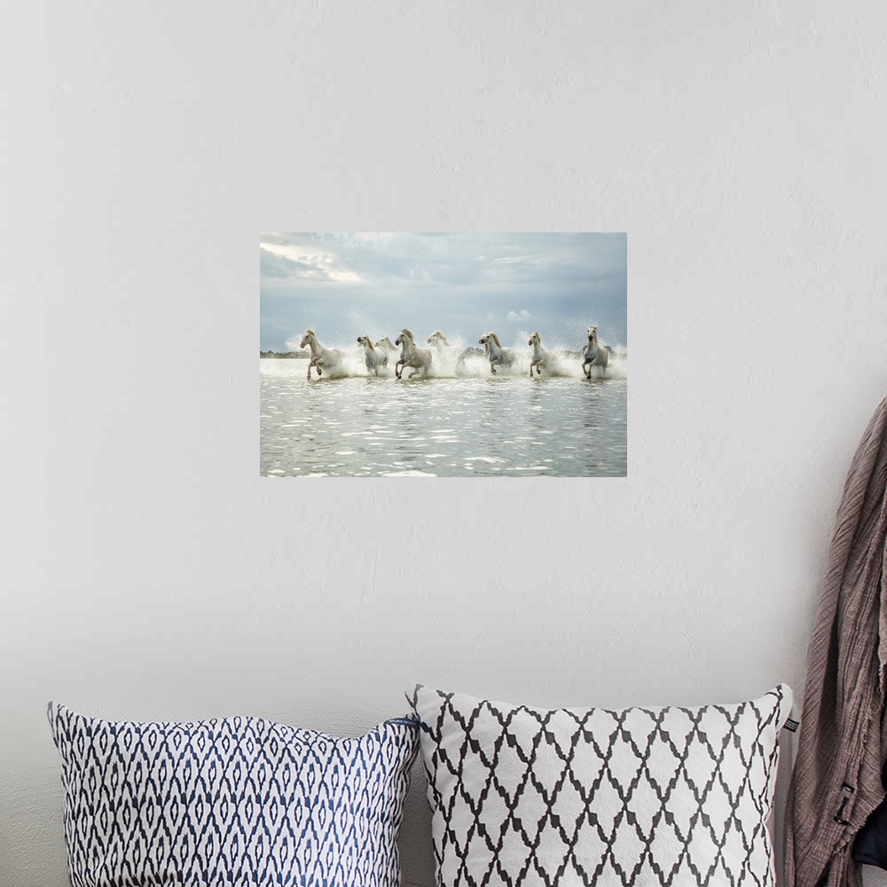 A bohemian room featuring The white horses of the Camargue running on the beach in the south of France.