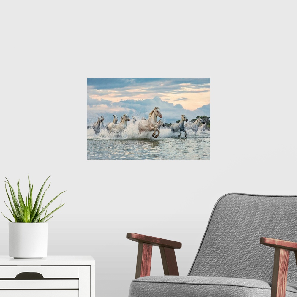 A modern room featuring The white horses of the Camargue running on the beach in the south of France.