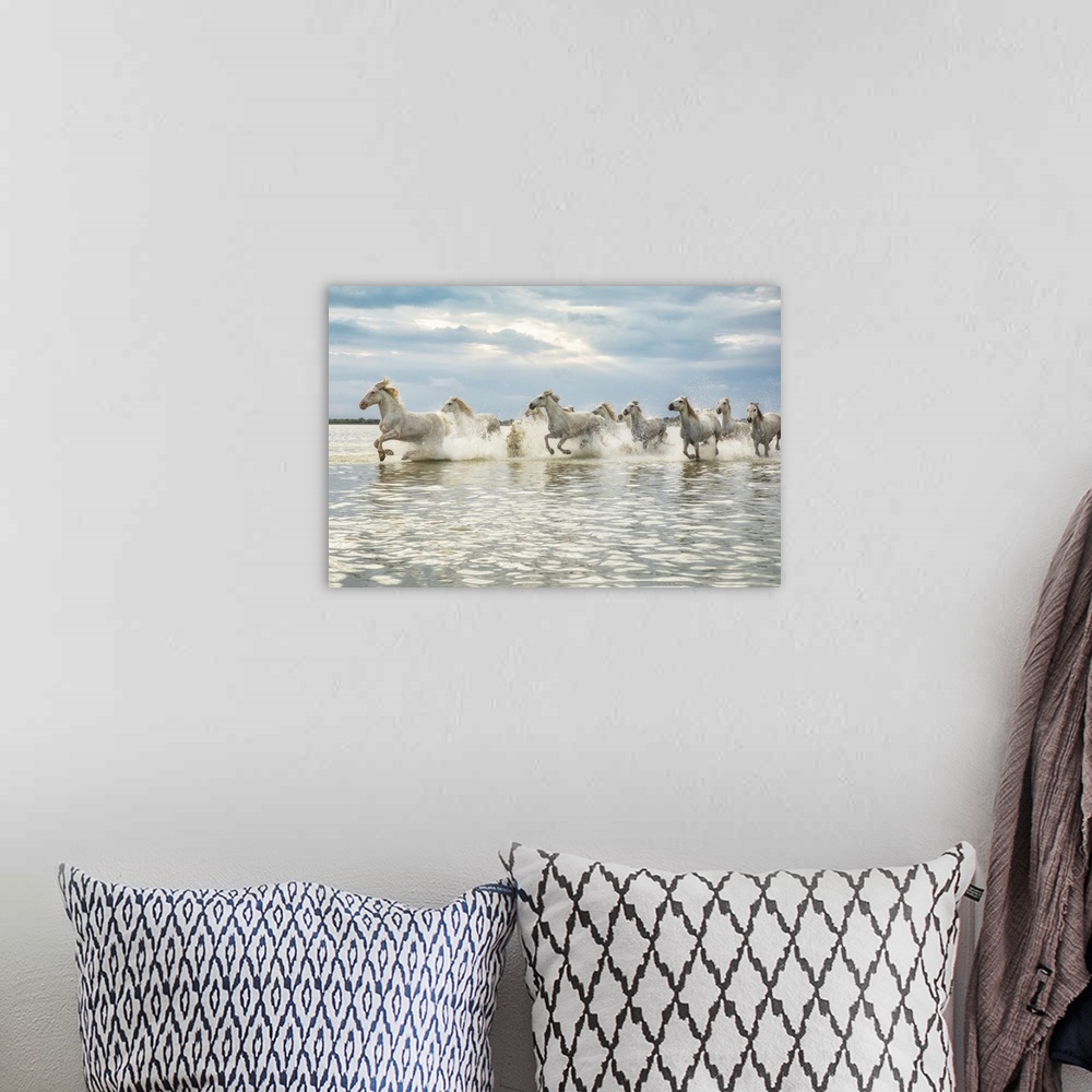 A bohemian room featuring The white horses of the Camargue running on the beach in the south of France.