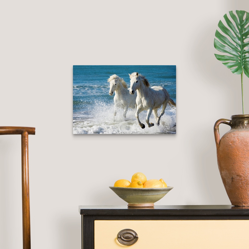 A traditional room featuring Giant photograph of two Camargue horses galloping along the edge of the ocean on a beach in South...