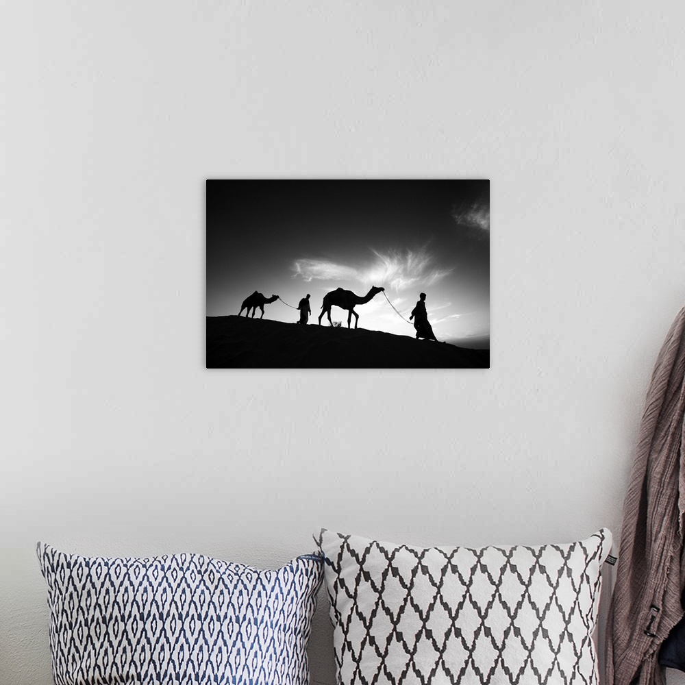 A bohemian room featuring Camels and their owners at sunset, Rajistan, India