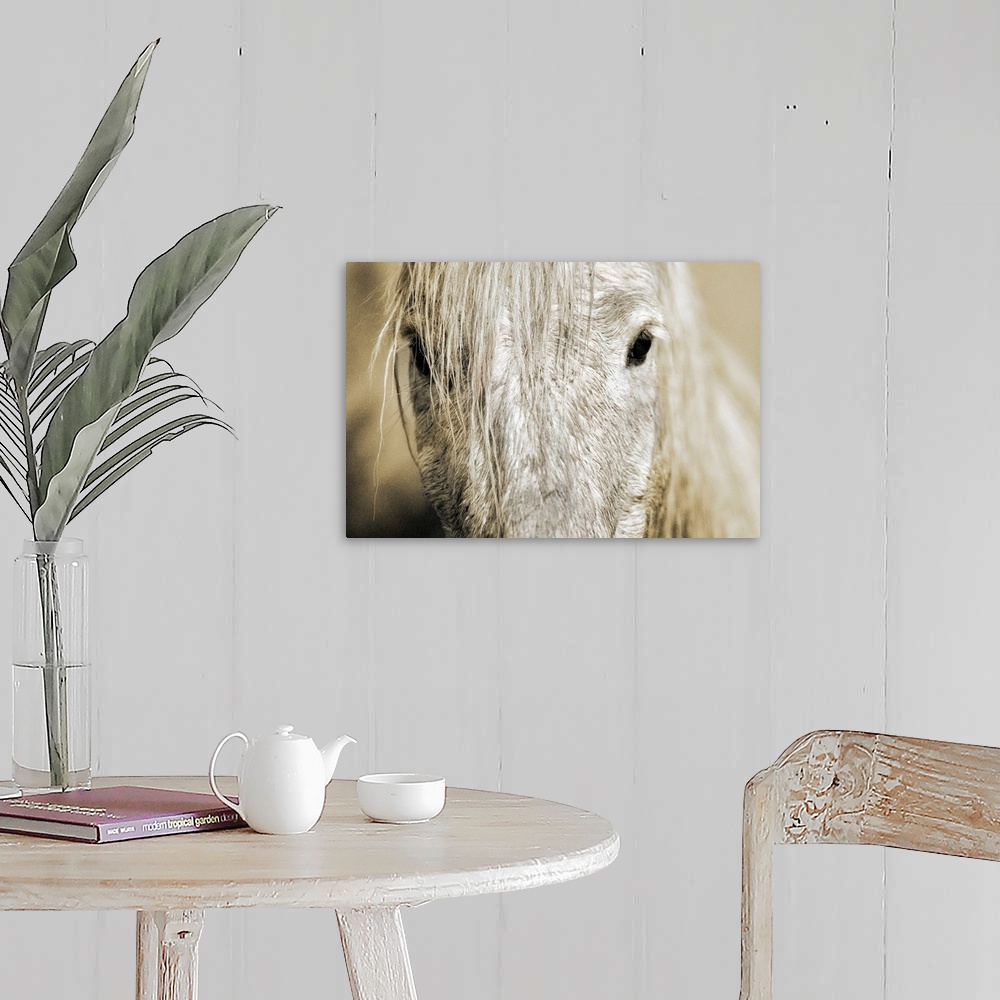 A farmhouse room featuring Wall docor of an extreme close up of a white horse's mid facial area with dark eyes staring back.