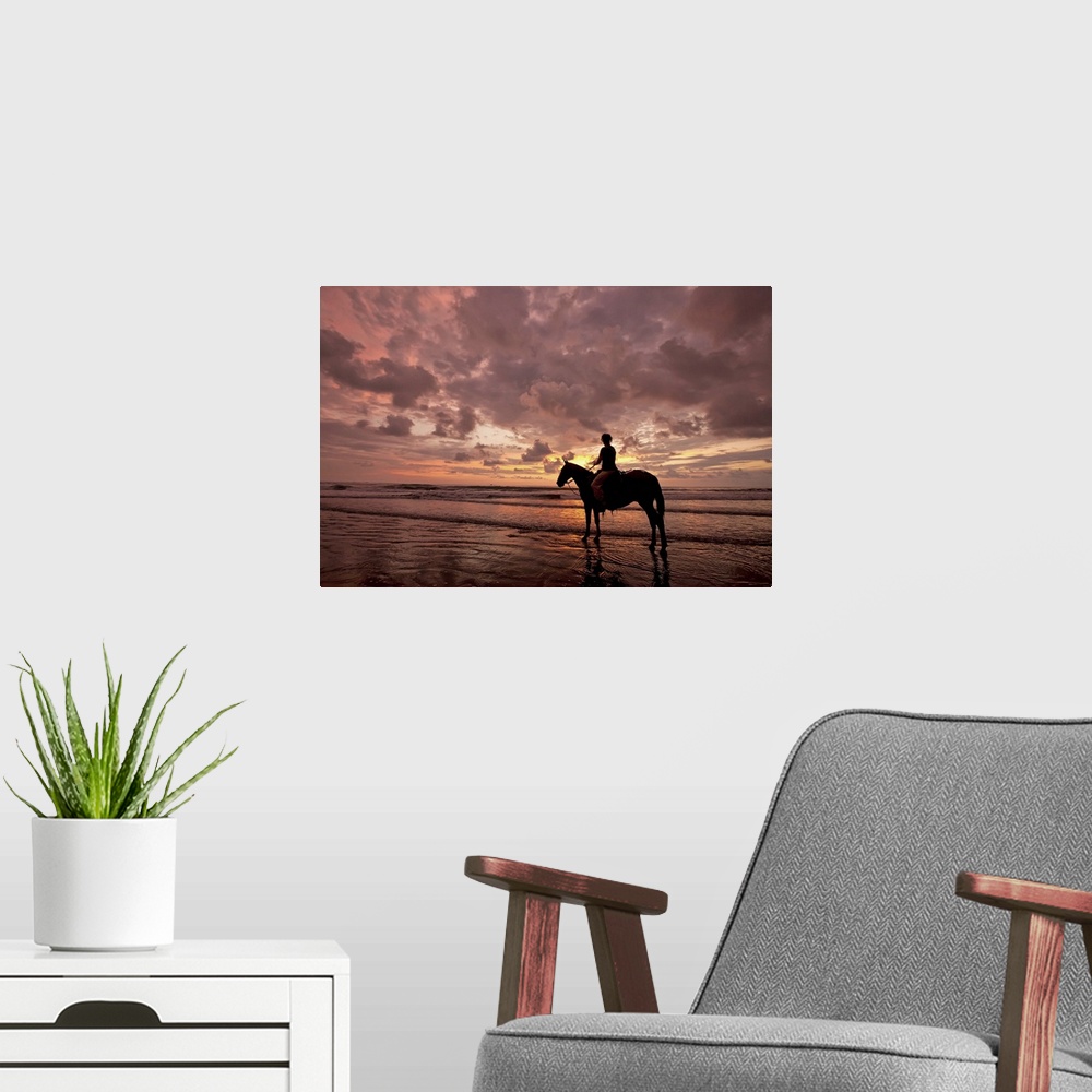 A modern room featuring Colorful sunset on the beach with horse and rider