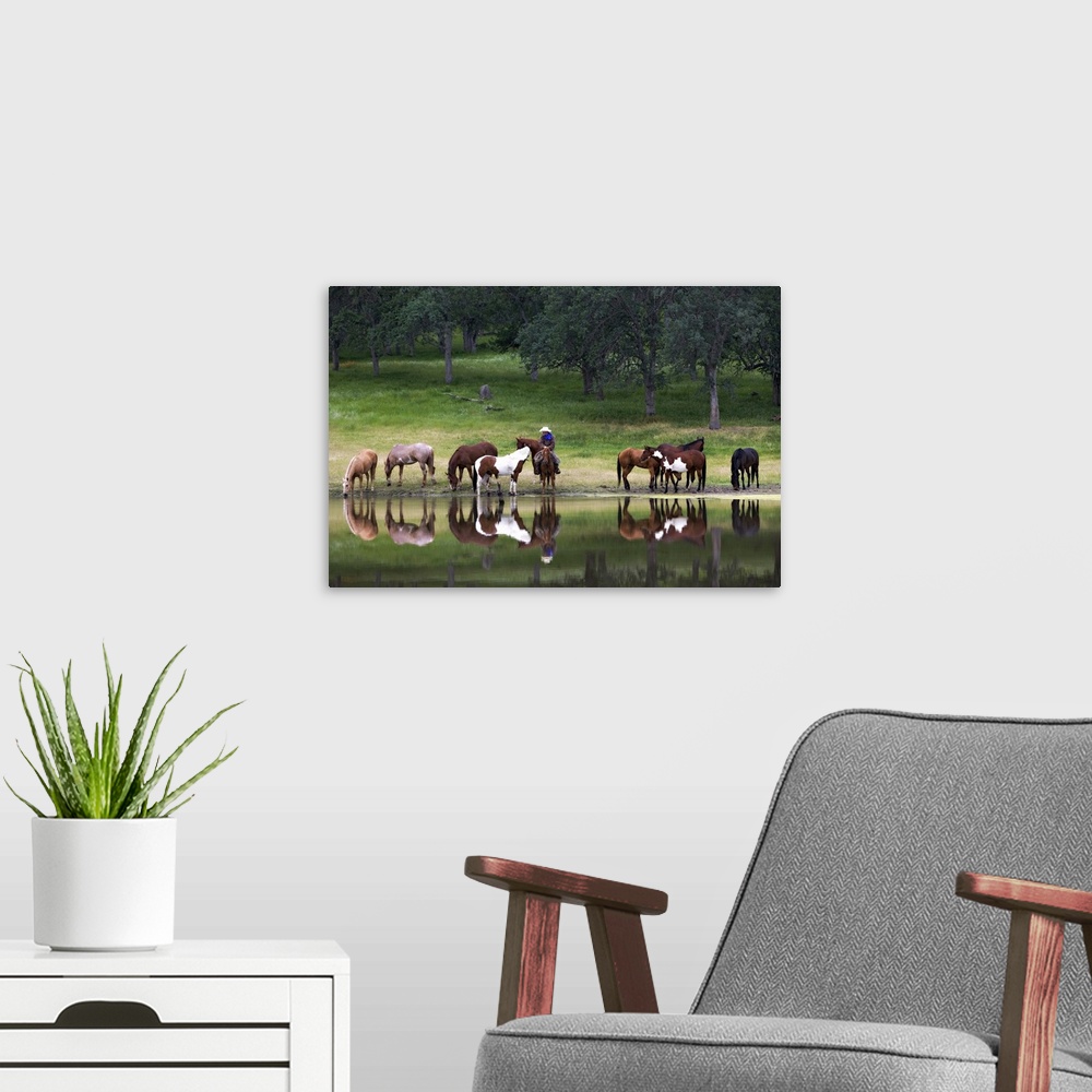 A modern room featuring Horizontal photograph on large canvas of a cowboy sitting on a horse, surrounded by a group of ho...