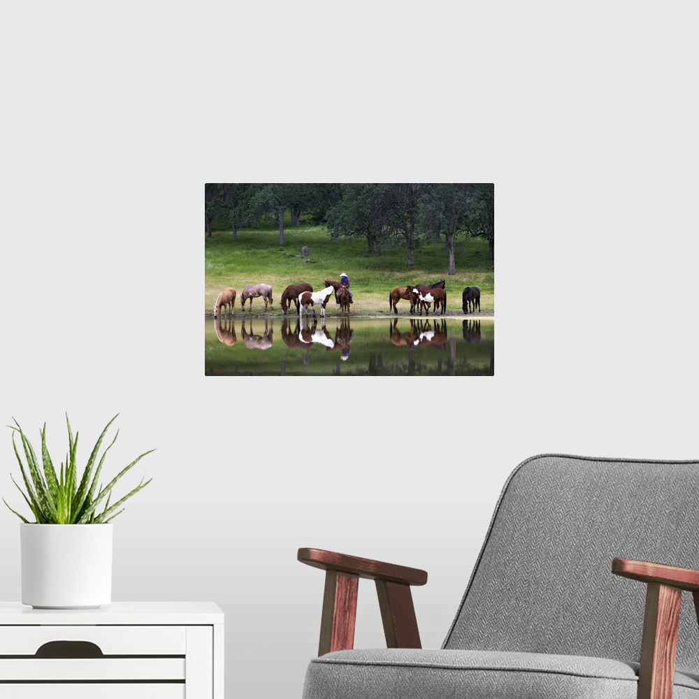 A modern room featuring Horizontal photograph on large canvas of a cowboy sitting on a horse, surrounded by a group of ho...