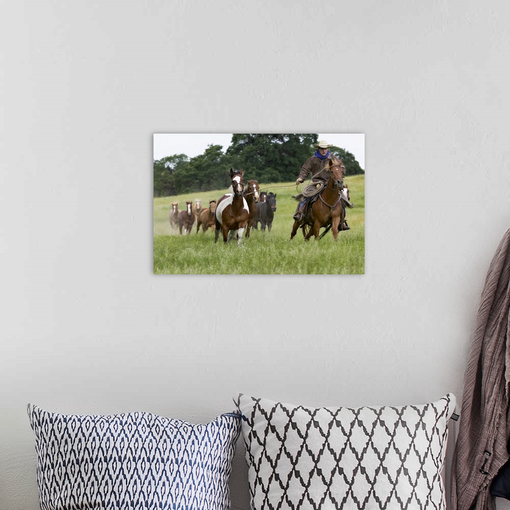 A bohemian room featuring Cowboy herding several horses across a field near Yosemite, CA.