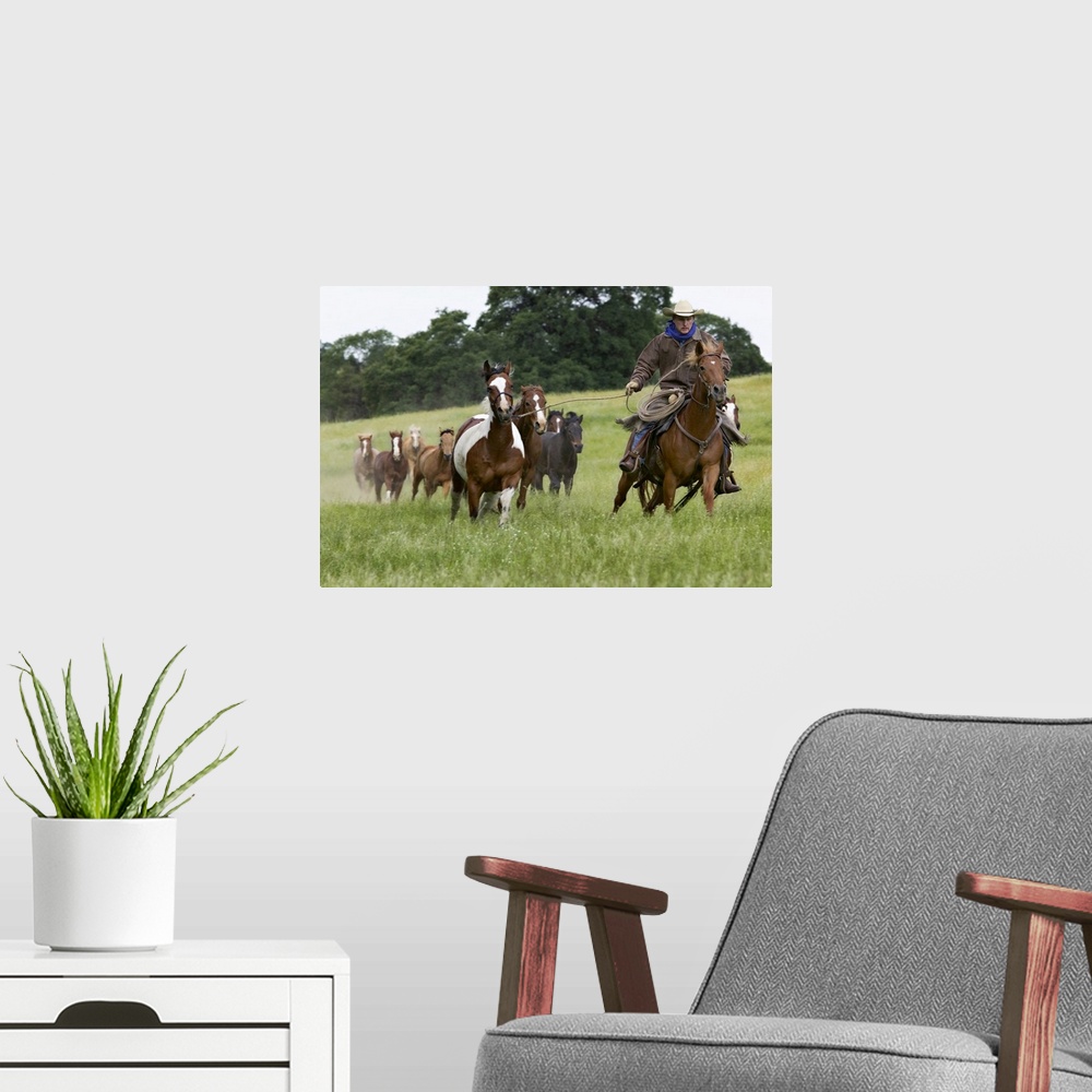 A modern room featuring Cowboy herding several horses across a field near Yosemite, CA.