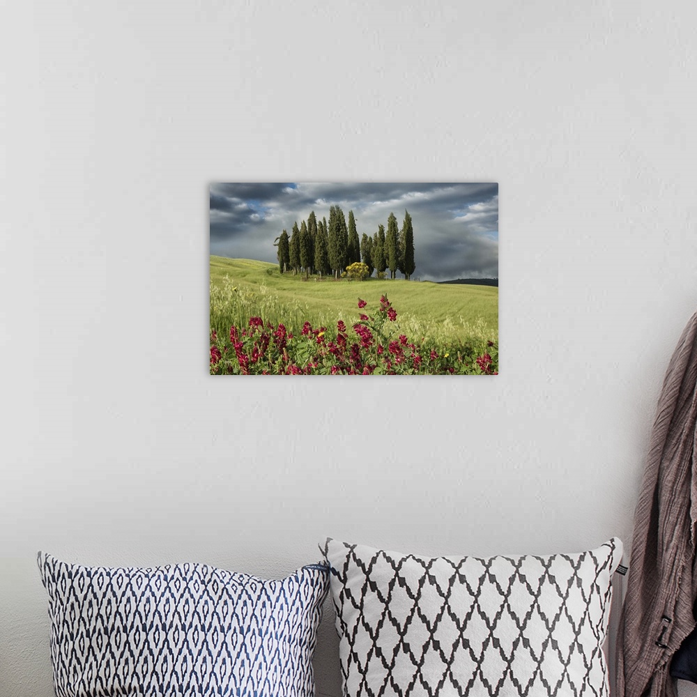 A bohemian room featuring Cypress trees in the Tuscan countryside.