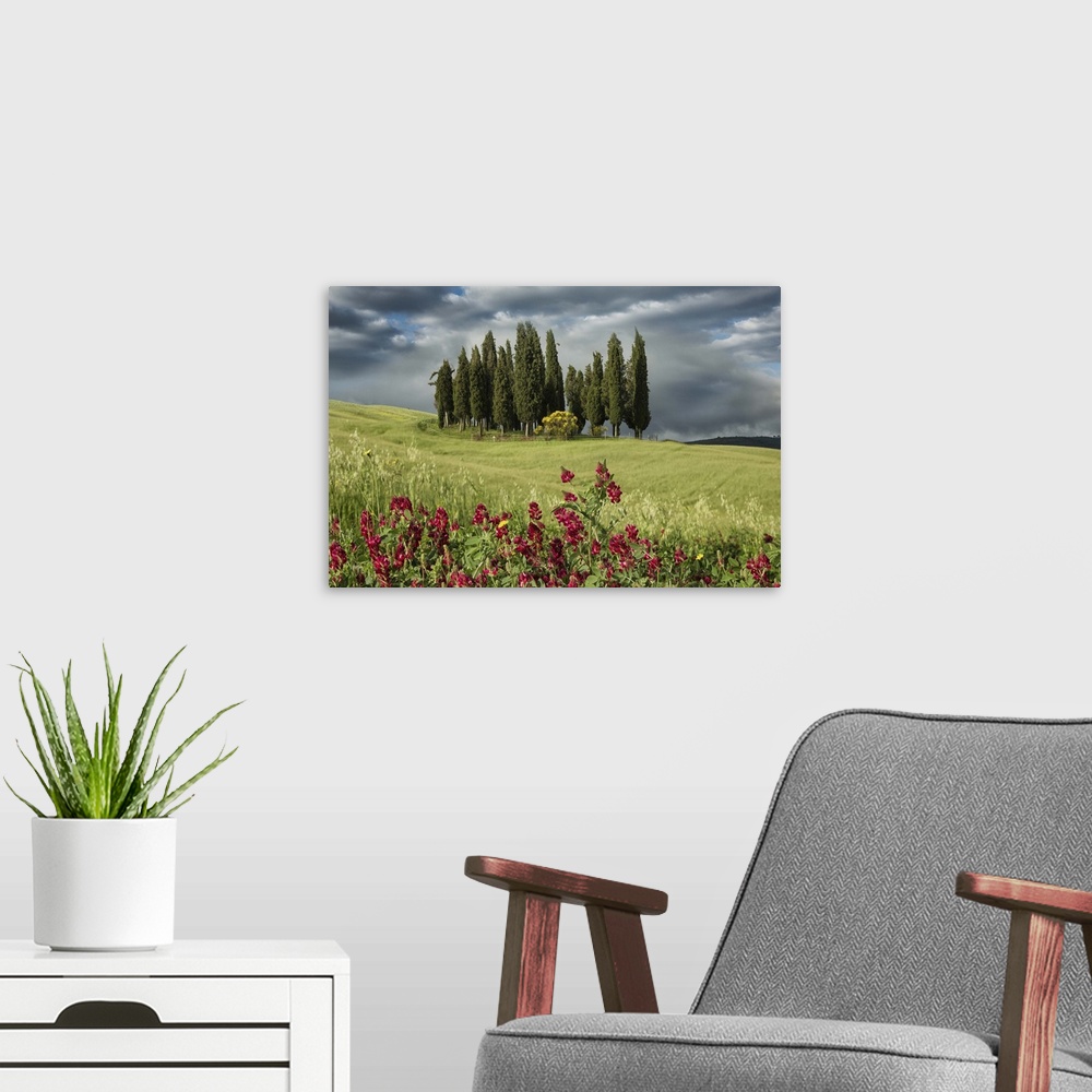 A modern room featuring Cypress trees in the Tuscan countryside.