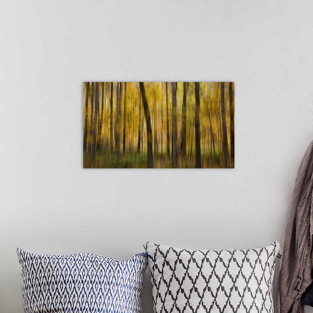 A bohemian room featuring Fall color with trees blurred