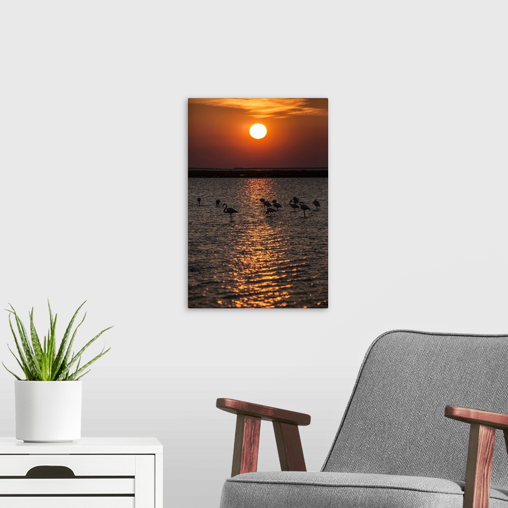 A modern room featuring Flamingos in silhouette on the water at sunset