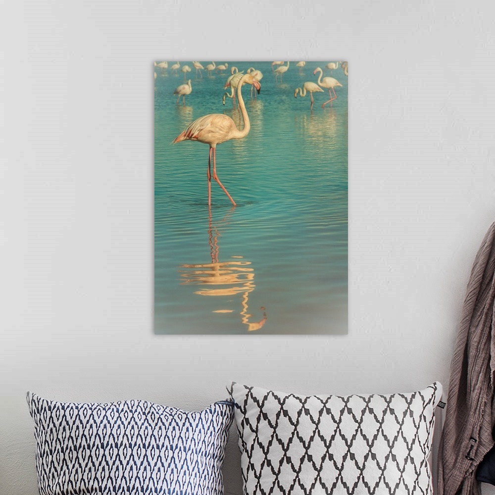 A bohemian room featuring Flamingos in the south of France