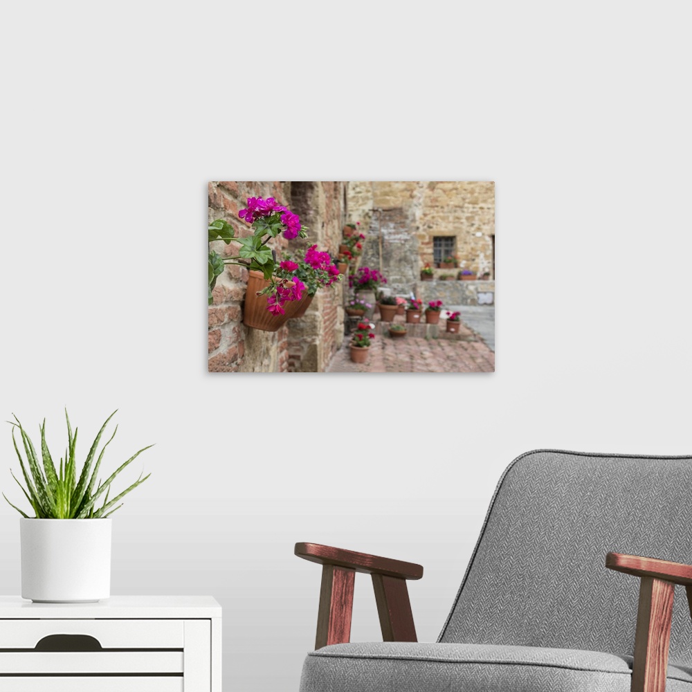 A modern room featuring Flowers in courtyard in Monticiello, Tuscany, Italy