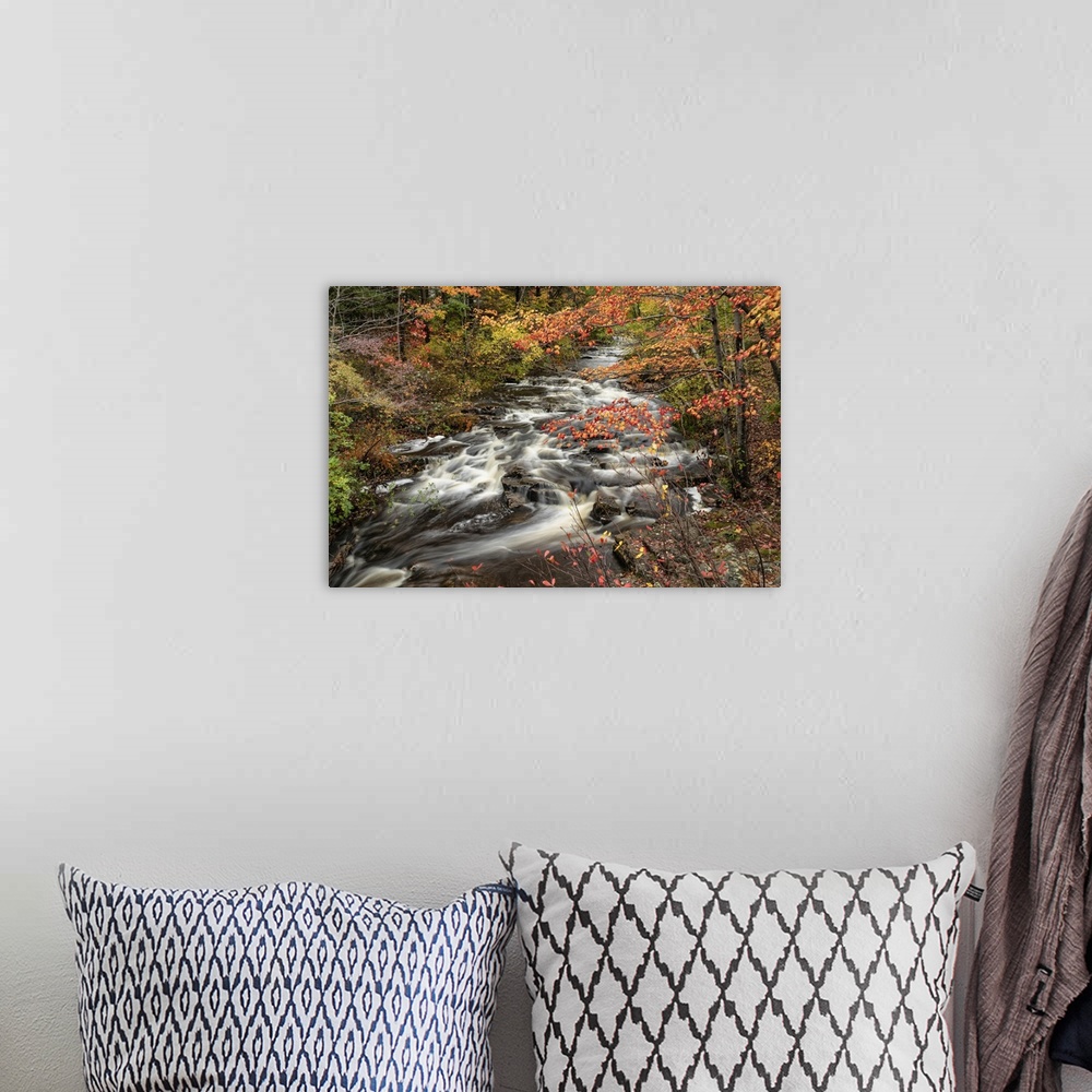 A bohemian room featuring Flowing river and fall color in Acadia National Park.