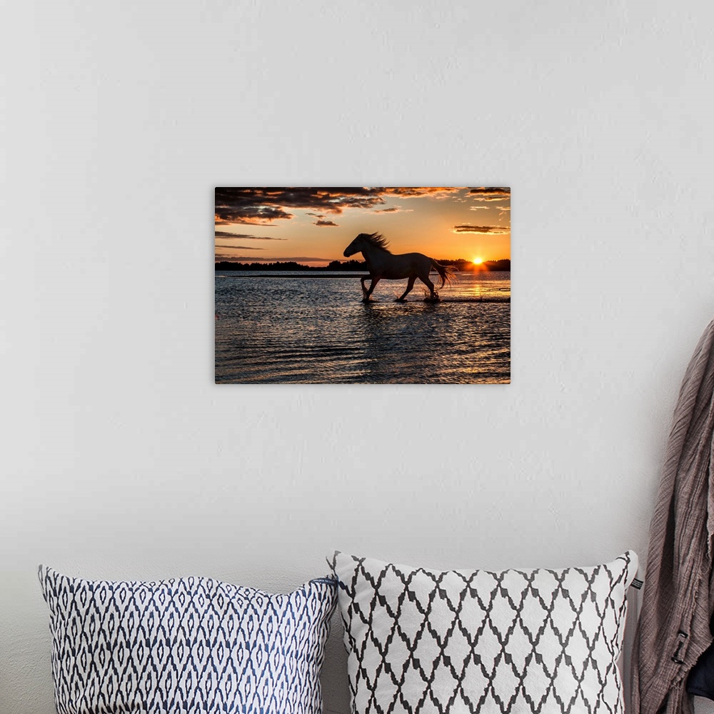 A bohemian room featuring Horse in silhouette running in the ocean in France.