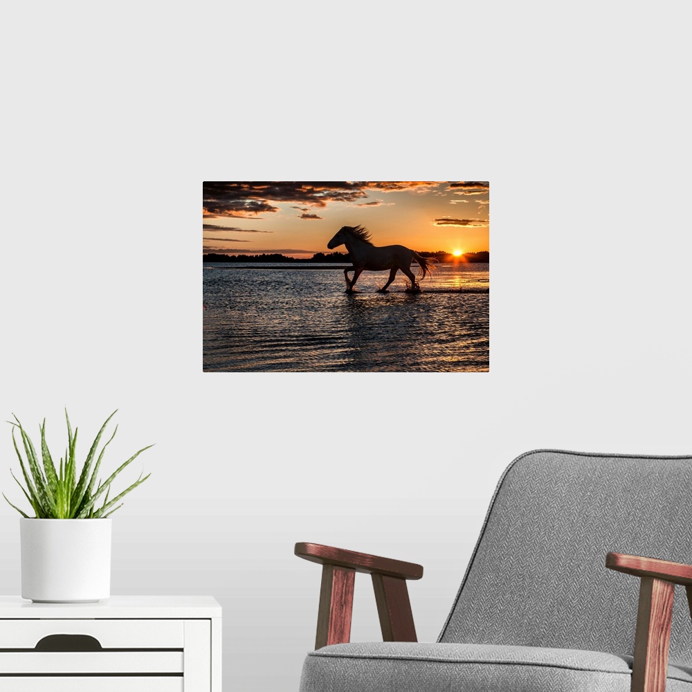 A modern room featuring Horse in silhouette running in the ocean in France.