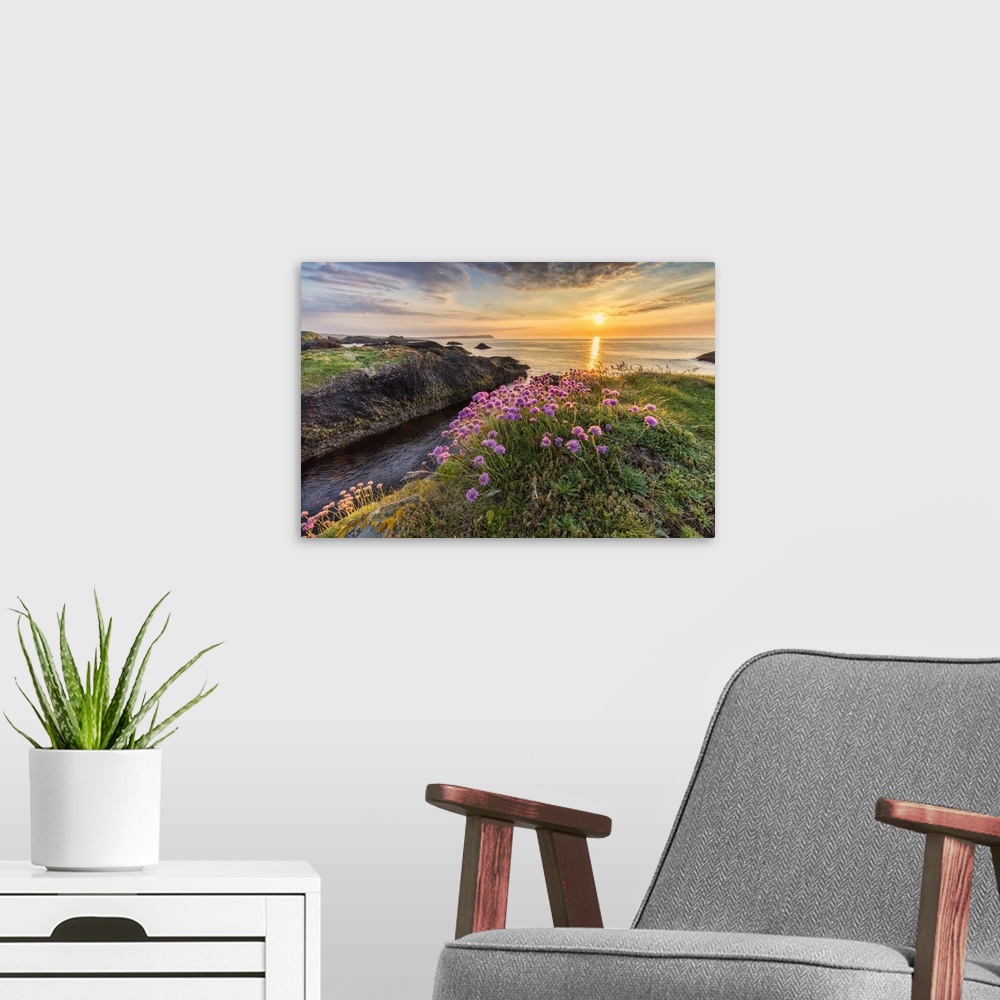 A modern room featuring Sunset and flowers on the coast of Ireland.
