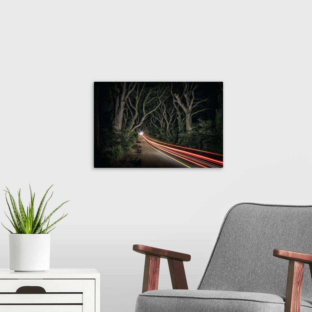 A modern room featuring Car trails in the Dark Hedges of Northern Ireland.