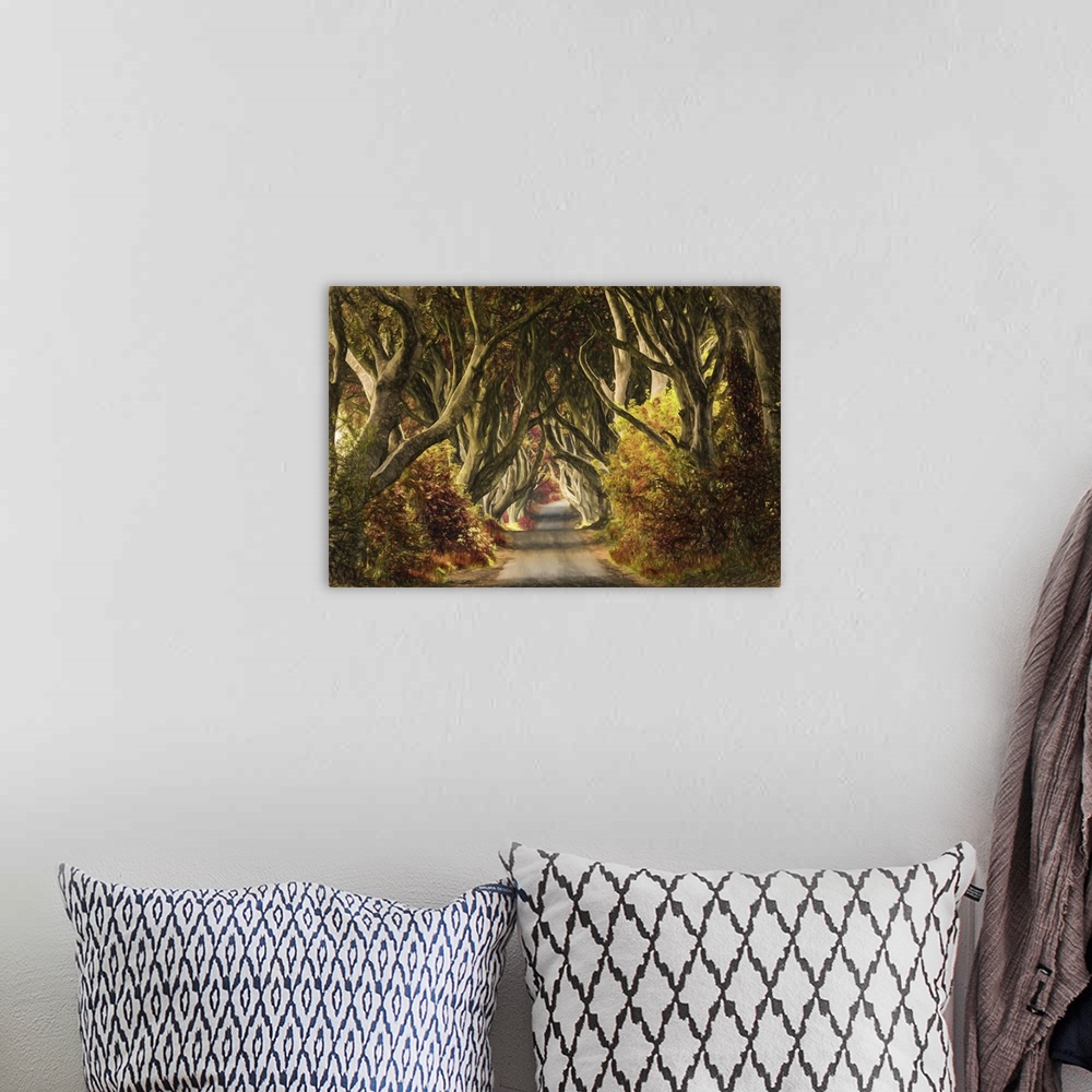 A bohemian room featuring The stunning Dark Hedges of Northern Ireland.