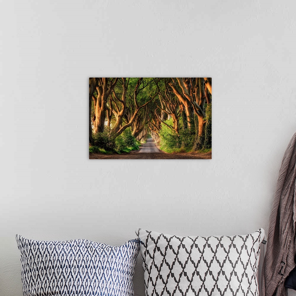 A bohemian room featuring The stunning Dark Hedges of Northern Ireland.