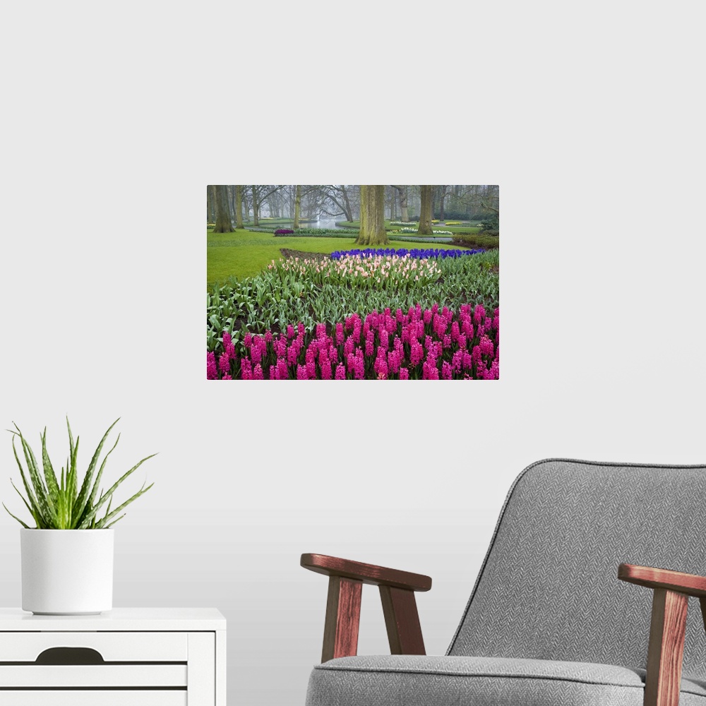 A modern room featuring This is a landscape photograph of a garden full of carefully cultivated flowers in meticulously o...