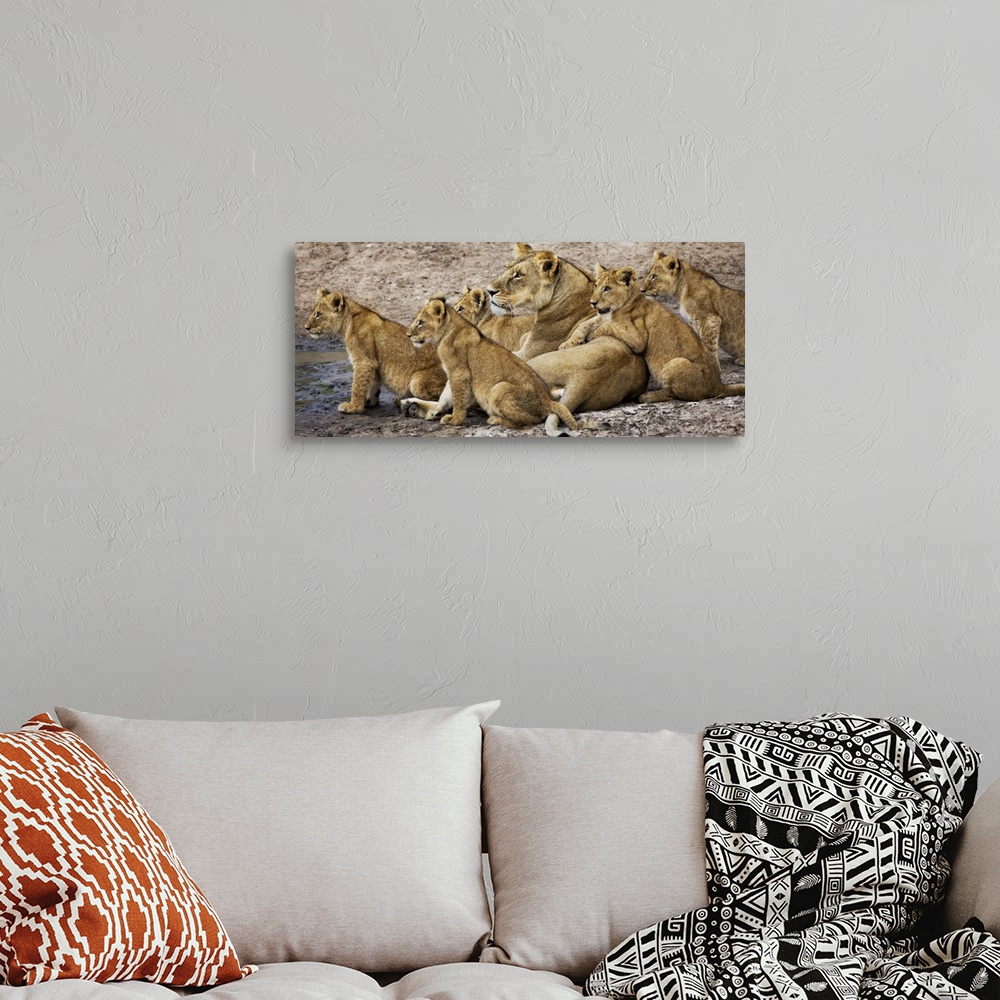 A bohemian room featuring Lioness and her cubs by the water in Kenya