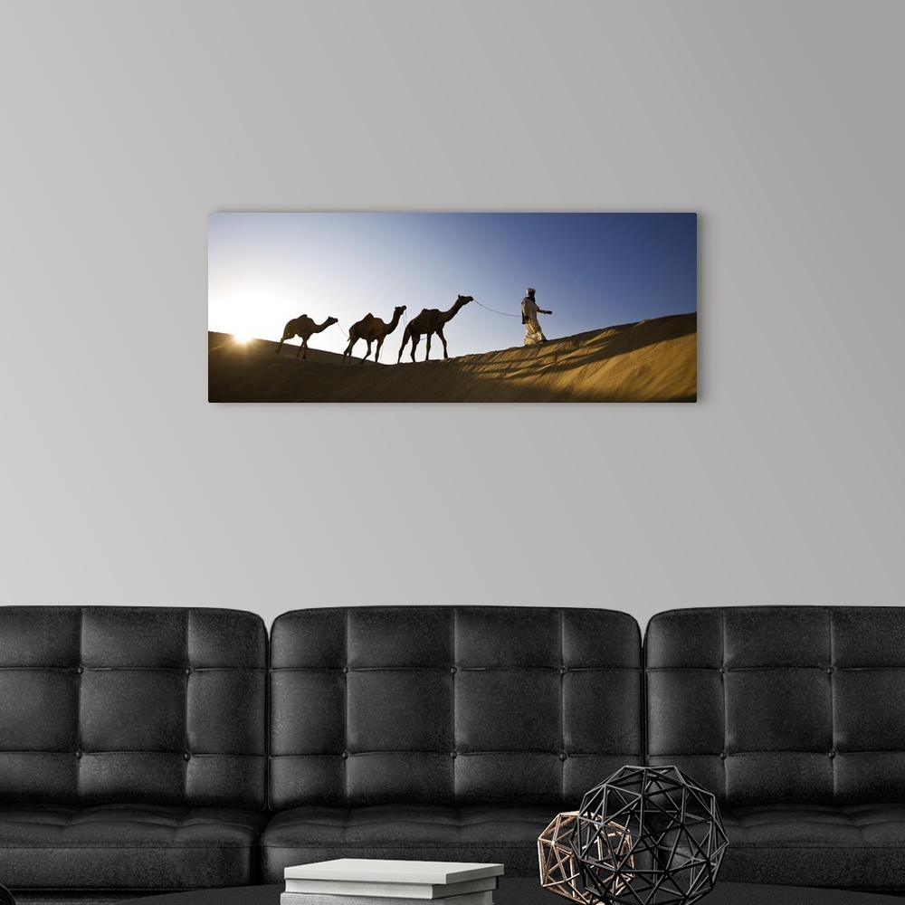 A modern room featuring Man walking camels through the desert in India