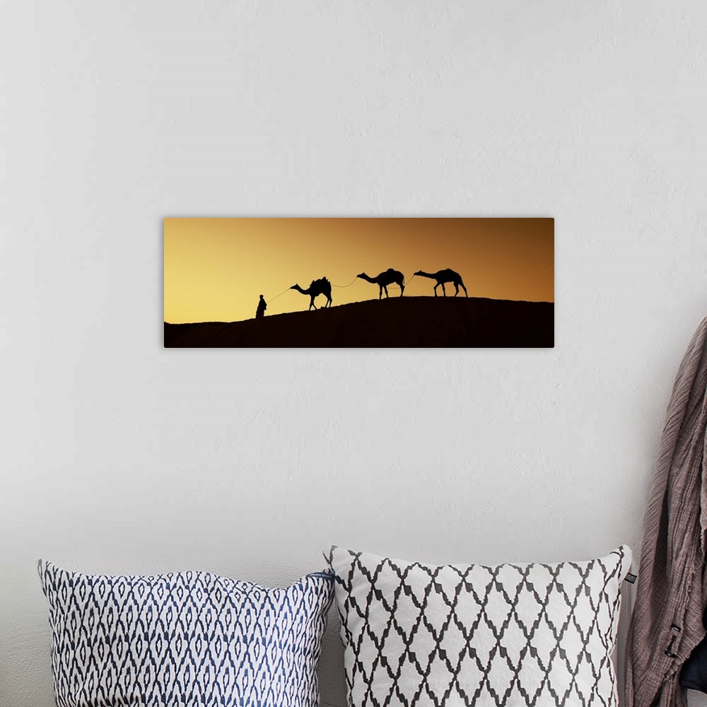 A bohemian room featuring Man walking camels through the desert in India