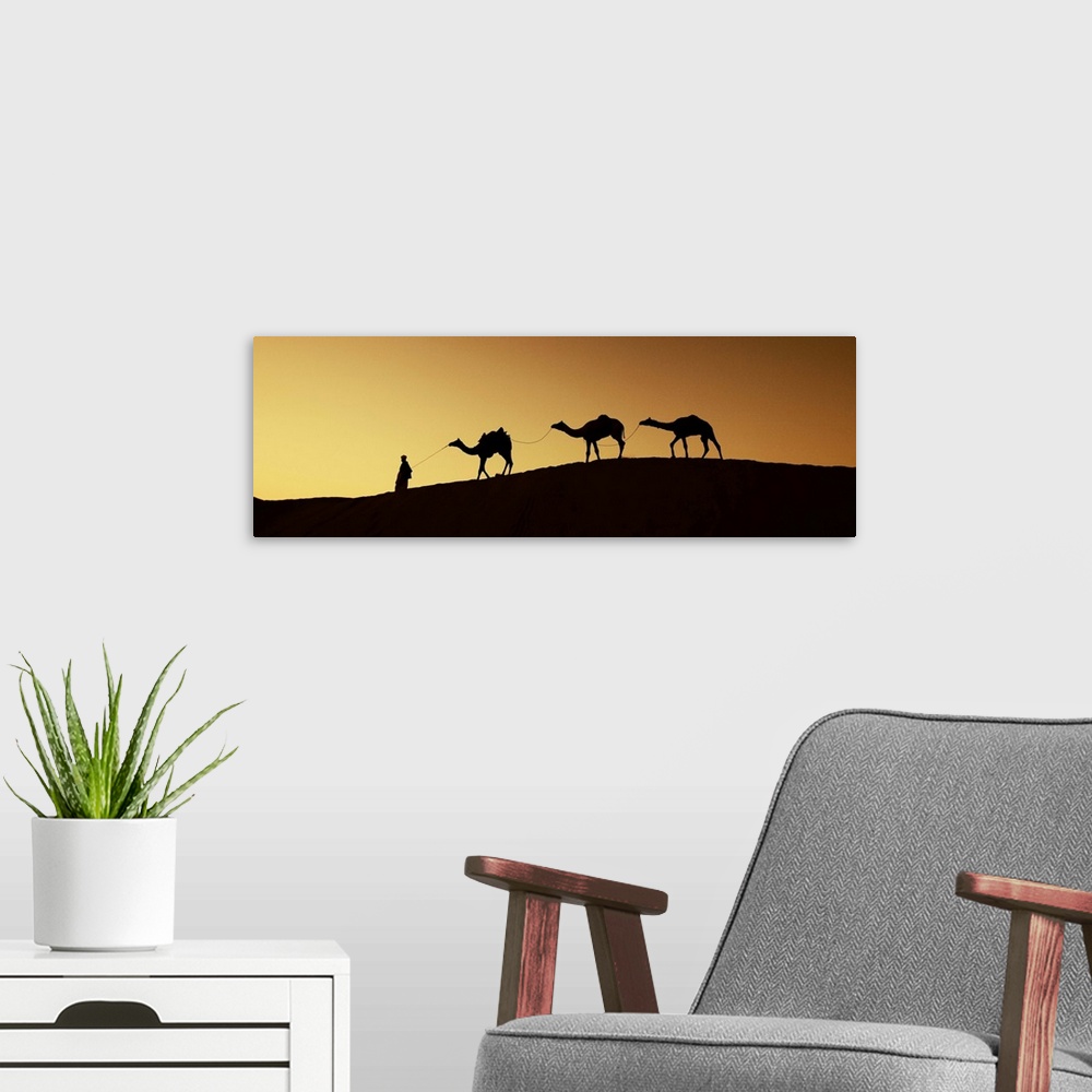 A modern room featuring Man walking camels through the desert in India