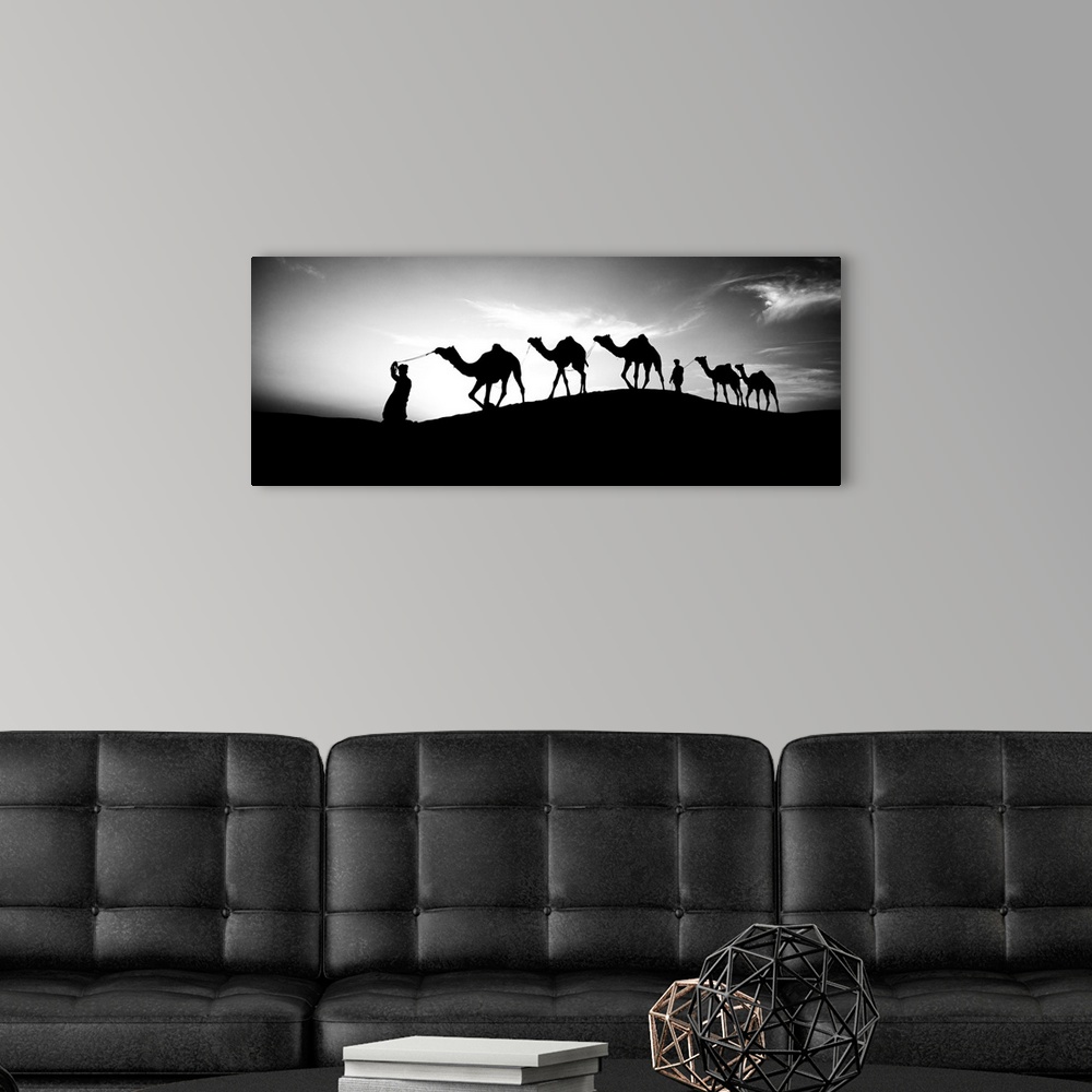 A modern room featuring Men walking camels through the desert in India