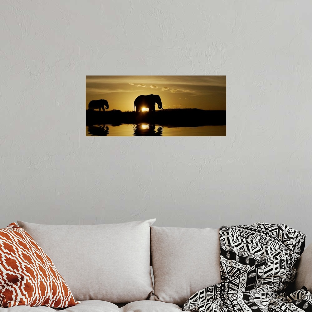 A bohemian room featuring Mother and baby elephant walking by a lake at sunrise in Kenya