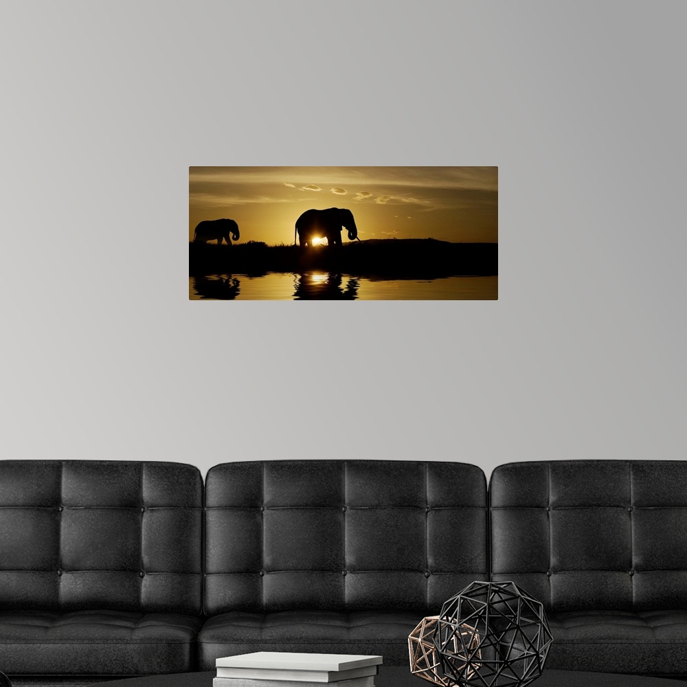 A modern room featuring Mother and baby elephant walking by a lake at sunrise in Kenya