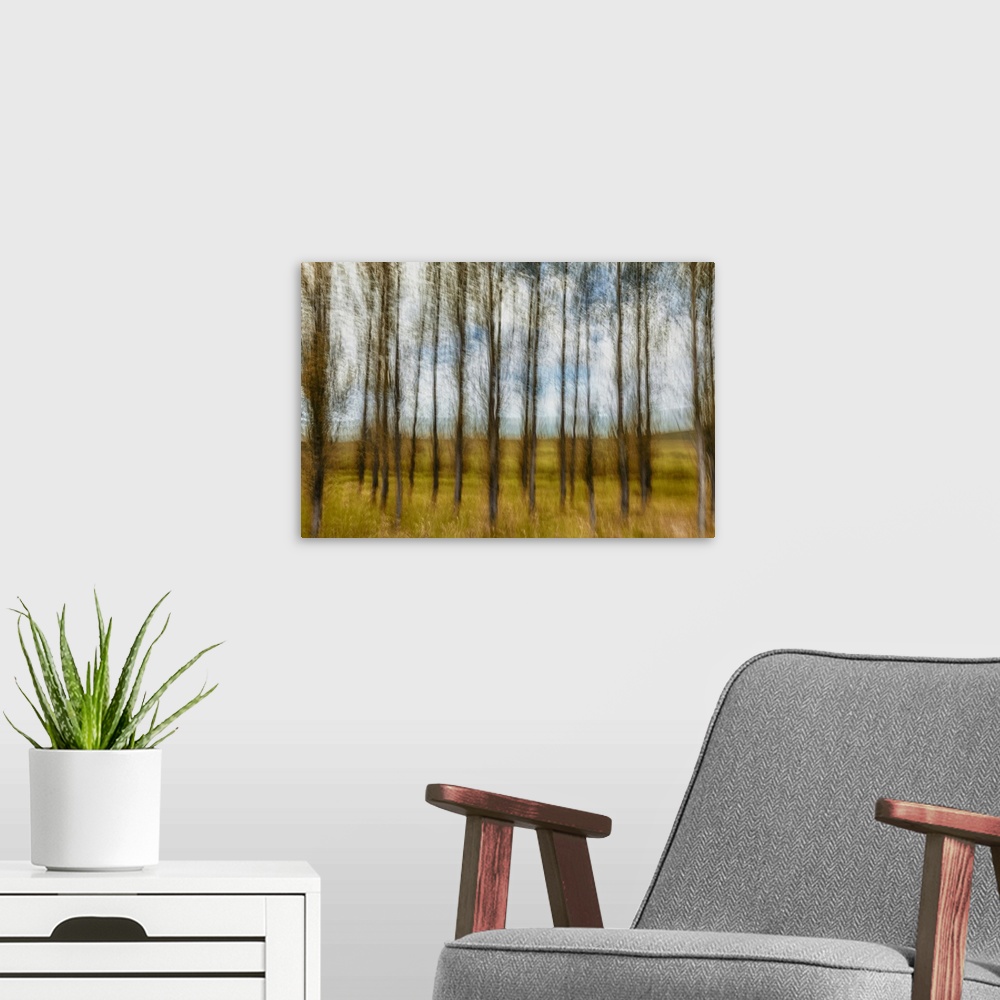 A modern room featuring Motion blur of beautiful grove of deciduous trees.
