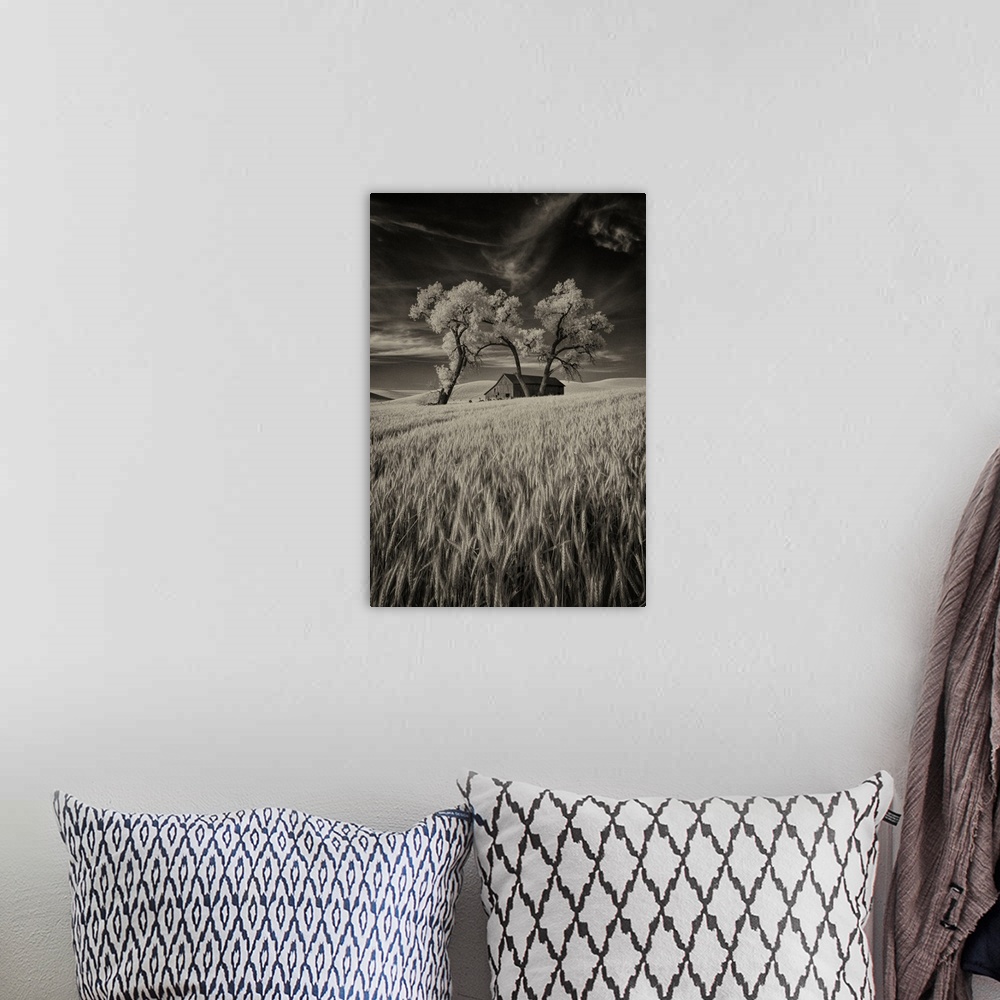 A bohemian room featuring Old barn in the wheat fields in the Palouse, Washington.