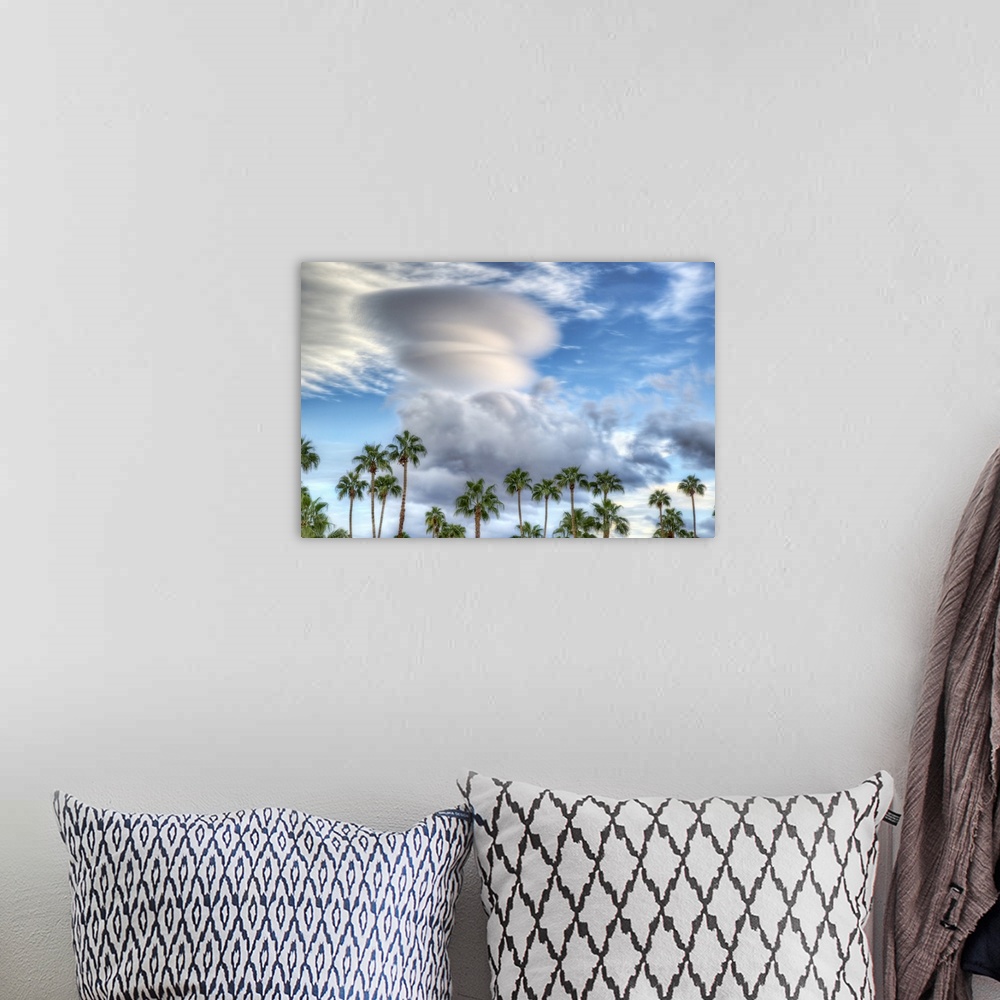 A bohemian room featuring A row of palm trees under a large storm cloud in the sky.