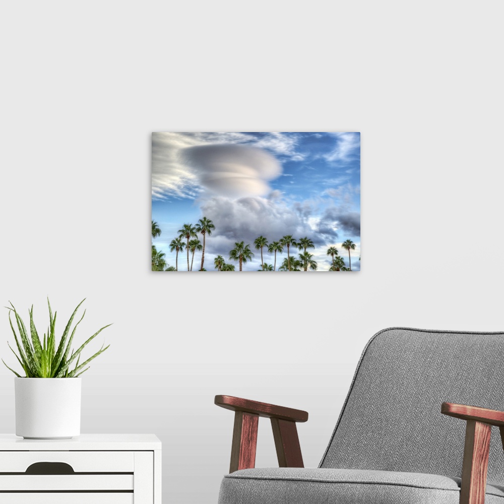 A modern room featuring A row of palm trees under a large storm cloud in the sky.