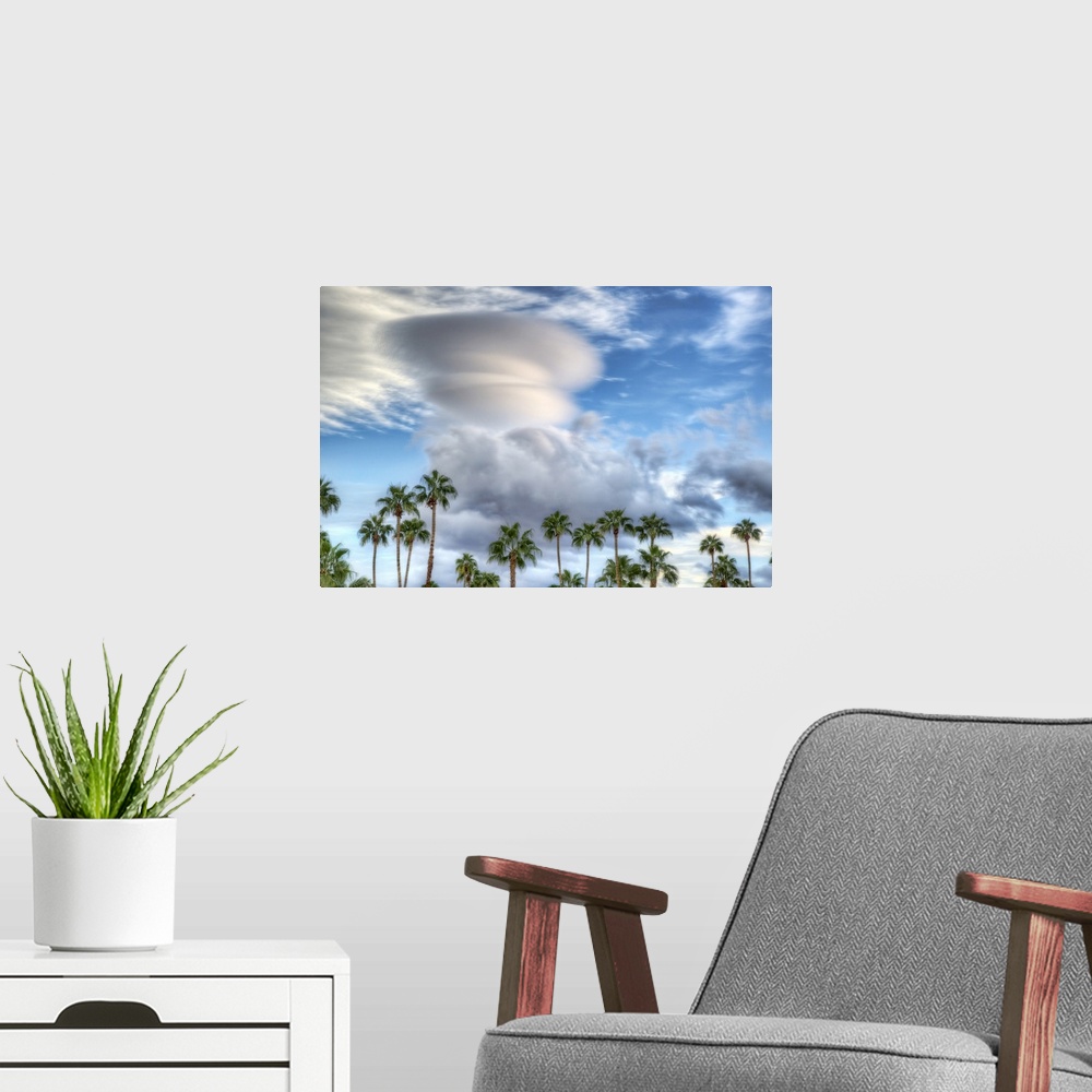 A modern room featuring A row of palm trees under a large storm cloud in the sky.