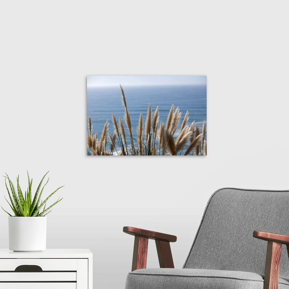 A modern room featuring Pampas Grass Above the Ocean, Big Sur, California