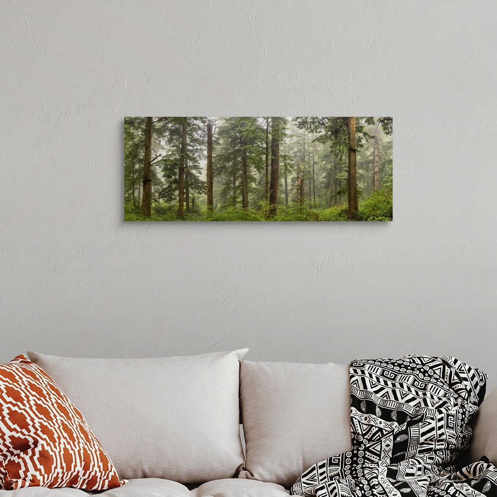 A bohemian room featuring Panorama in the forest on the Oregon Coast.