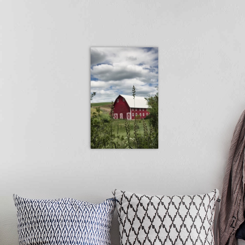 A bohemian room featuring Red barn and green wheat fields in the Palouse