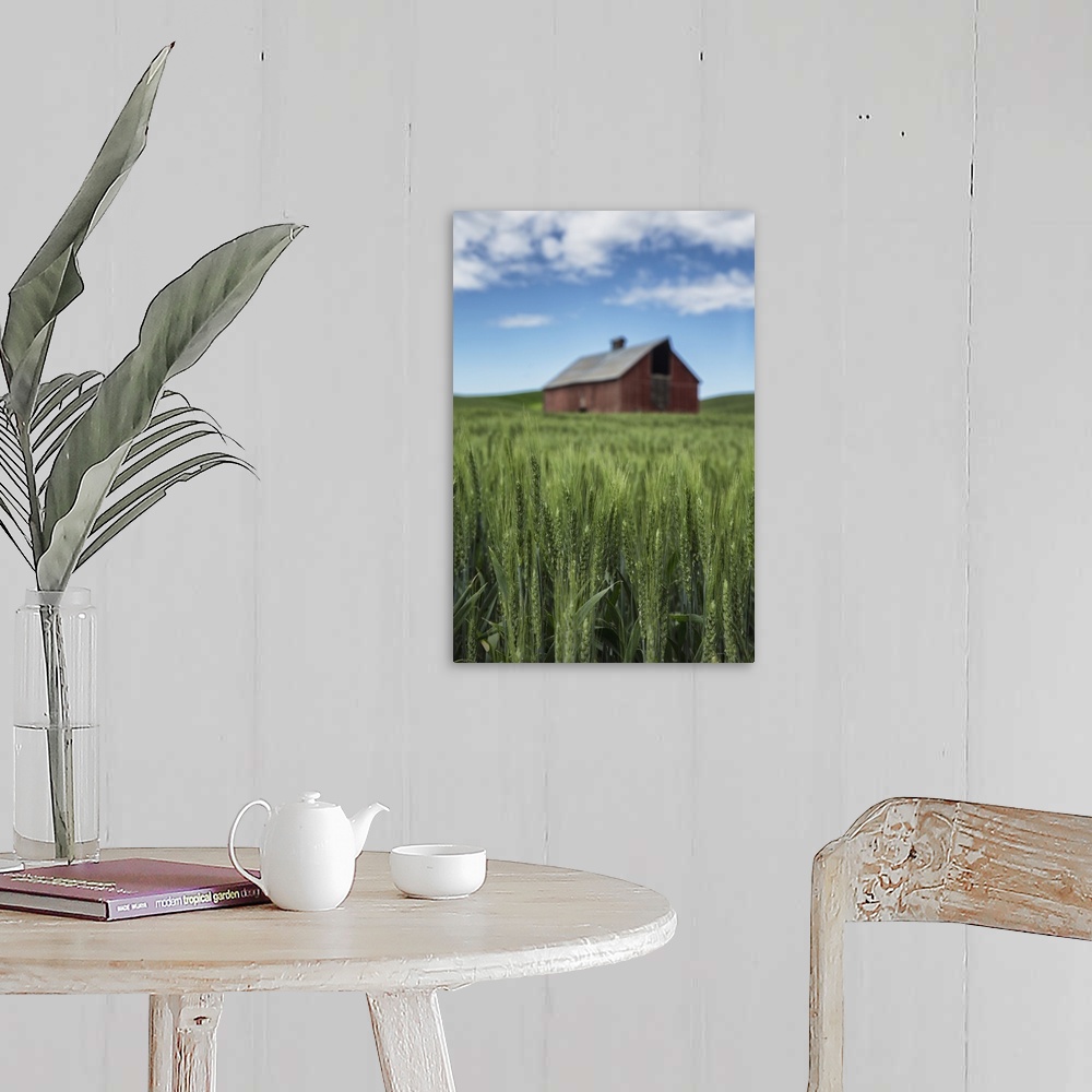 A farmhouse room featuring Red barn and green wheat fields in the Palouse, Washington