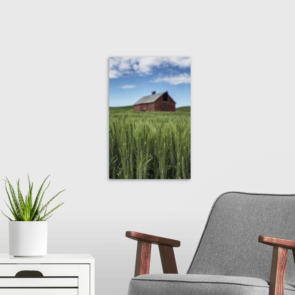 A modern room featuring Red barn and green wheat fields in the Palouse, Washington