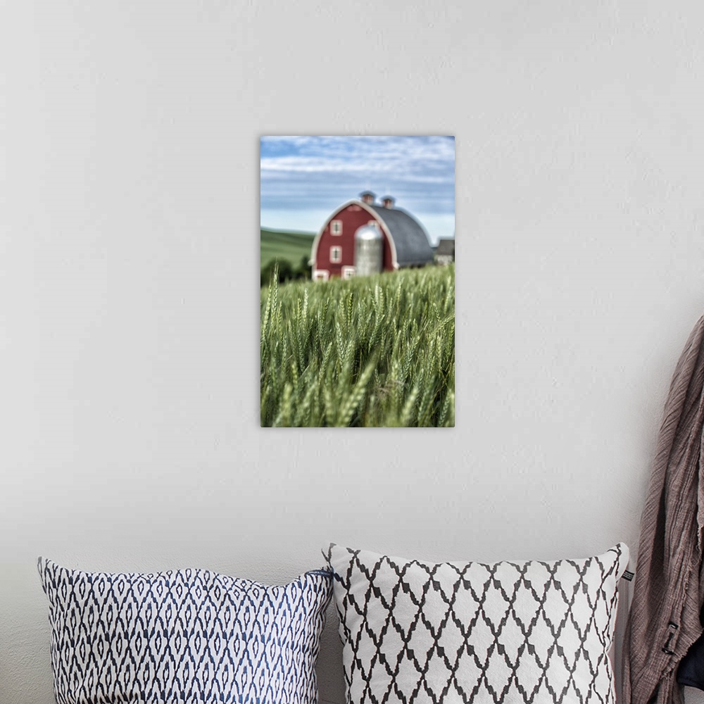 A bohemian room featuring Red barn and green wheat fields in the Palouse, Washington